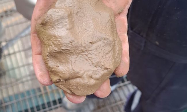 Material discharged from the centrifugal decanter
